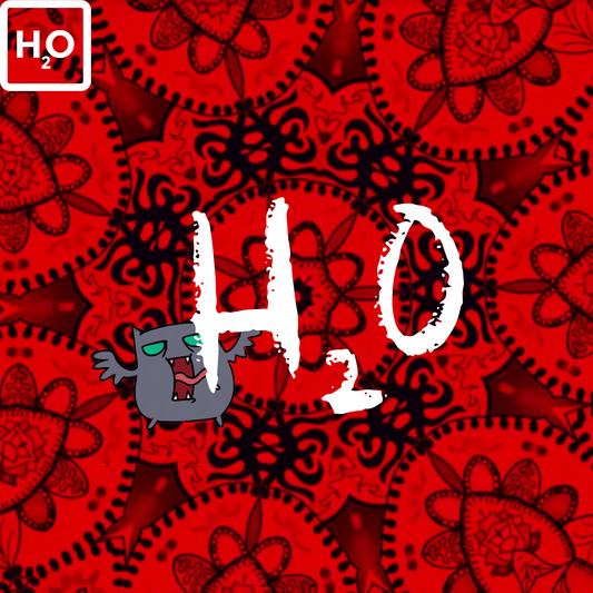H20