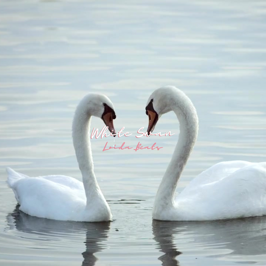 WHITE SWAN